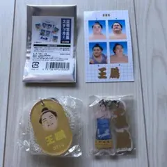 Item thumbnail for item 7dcf52f1-6c1c-446b-8f7e-3344171f8d3c