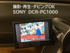 2026年最新】SONY DCR-PC100の人気アイテム - メルカリ