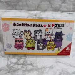 ドズル社　ねこに転生したおじさん×ドズル社　ドズル社パスポートNo.0042