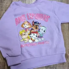 パウパトロール 110