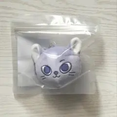 BOYNEXTDOOR プネクド CATBBI キーリング ソンホ アクスタ - メルカリ