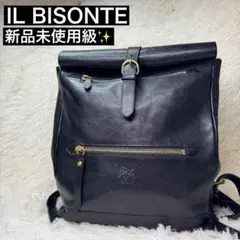新品未使用級✨IL BISONTE イルビゾンテ レザー　バックパック　リュックのサムネイル