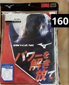 ハイネック ウェア