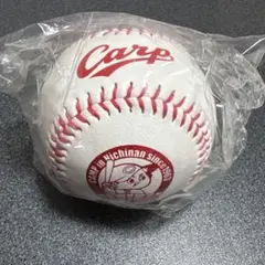 Carp 2023年春キャンプ　硬式ボール