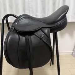 Item thumbnail for item 5a3c7aac-2b70-402d-a5a4-b992af40c8f6