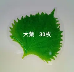 ♪。様 リクエスト 2点 まとめ商品