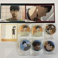 ハイキュー 影山