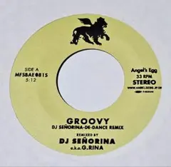 NICOLETTE / GROOVY（7インチレコード）G.RINA REMIX