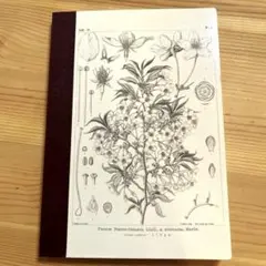 Item thumbnail for item 273de769-da97-44d3-b14d-d06adfaf8a2d