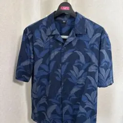 Item thumbnail for item 5af7ab59-3fba-458d-b4e3-c47b1febbef5