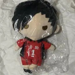 2025年最新】ハイキュー ぬいぐるみ ペンポーチの人気アイテム - メルカリ