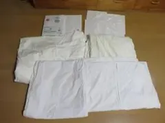 Item thumbnail for item 11c68000-6ba5-441a-aa2b-655e233040b2