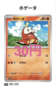 【491】ホゲータ 002/021