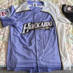 北海道日本ハムファイターズ 2016年 北海道新幹線開通記念ユニフォーム