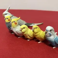 手のりインココレクション セキセイインコ　ルチノー　オカメインコ　海洋堂　ことり
