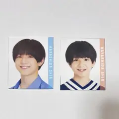 Myojo 明星 デタカ 厚紙 データカード カード 林田芯