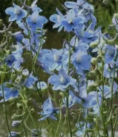 ariel様 リクエスト 2点 まとめ商品