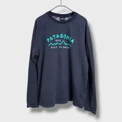 Patagonia☆オーガニックコットンスウェットカットソー☆M☆G26UMのサムネイル