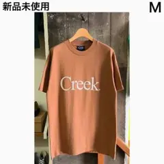 Item thumbnail for item 7451bc0b-456c-4777-90fc-9654e9283d38