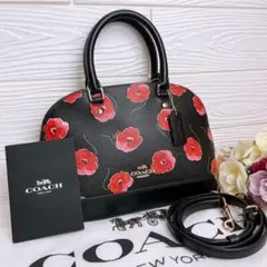 ☆【極美品】COACH ミニリュック 花柄 レザー ローズ柄 ゴールド金具 