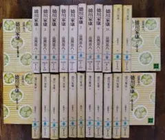 徳川家康 文学・小説