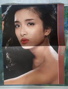 溝端葵&高野真央FRIDAY 直筆サイン入りチェキ 応募券 5枚 抽プレ懸賞