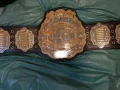 IWGPチャンピオンベルト(ジュニアヘビー級） IWGP ジュニアヘビー級プラスチックチャンピオンベルト
