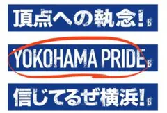 横浜DeNAベイスターズ 大声援タオル YOKOHAMA PRIDE