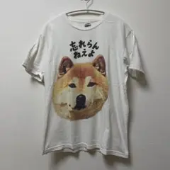 2025年最新】忘れらんねえよ tシャツの人気アイテム - メルカリ