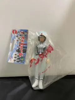 M1号 アンヌ隊員のサムネイル