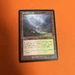 樹木茂る山