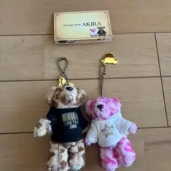 EXILE AMAZING WORLD TOUR 2015 クマ AKIRA