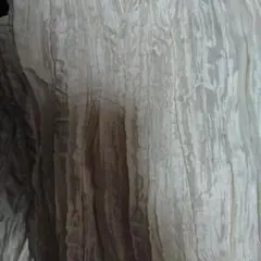 Item thumbnail for item 24389147-8087-41bf-b763-87451d9e73e4