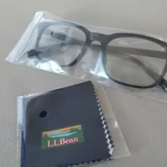 L.L.Bean ブラックフレーム サングラス