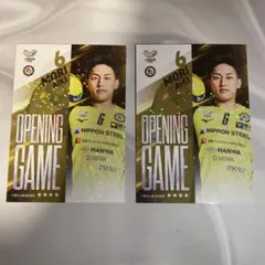 堺ブレイザーズ 髙野直哉 ユニフォームデザインTシャツ Mサイズ 2点 堺ブレイザーズ 髙野直哉 ユニフォームデザインTシャツ Mサイズ 2点 2025年