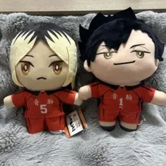 ハイキュー 音駒 ぬいぐるみ 研磨とくろ