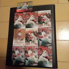 Item thumbnail for item a88e1503-e07e-457f-bb9f-ebe32dbd6a03