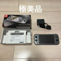 【極美品】Nintendo Switch Lite 本体 ディアルガ・パルキア