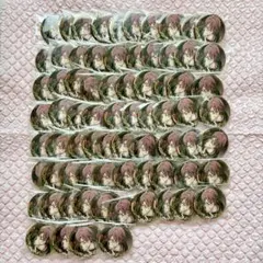 虎於 ŹOOĻ 単独缶バッジ 74点