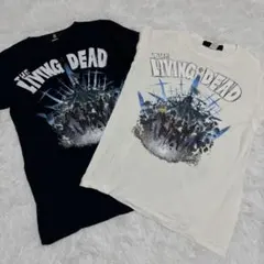 Item thumbnail for item f53b1b0c-e071-4ef5-888f-4b23315be81c