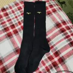 Item thumbnail for item ffdab9d7-eaea-4ed2-8f88-9f9aa7dcf1e6