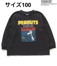 Item thumbnail for item 8577aeb1-0df9-45fe-b362-57dbfe099d3b