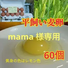mama 様専用です。平飼い卵 平飼い麦卵 ML 60個 朝採り卵