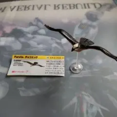 2025年最新】チョコエッグ 鳥編の人気アイテム - メルカリ