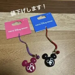 ディズニーキーホルダー2種　35周年記念チャームセット