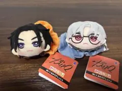 カリスマ みにコレ！ ぬいぐるみ付きシュシュ 伊藤ふみや 草薙理解