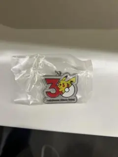ポケモン 30周年 ピカチュウ メタルチャーム