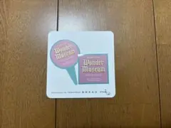 ワンダーミュージアム　ステッカー　フードピック　セット