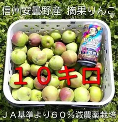 加工用　摘果りんご　生食不可　 約10キロ　長野県産④のサムネイル