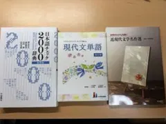 【3冊セット】日本語チェック2000辞典・現代文単語げんたん・近現代文学名作選